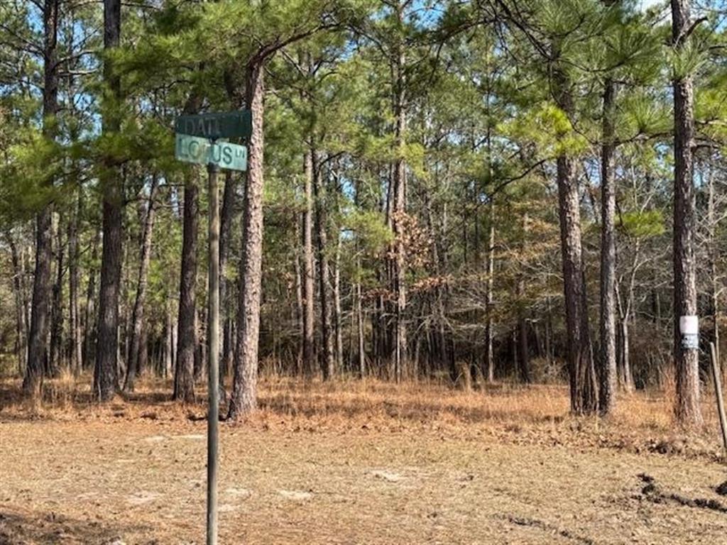 Lotus Lane Anacoco, LA 71403 - Photo 1 of 8