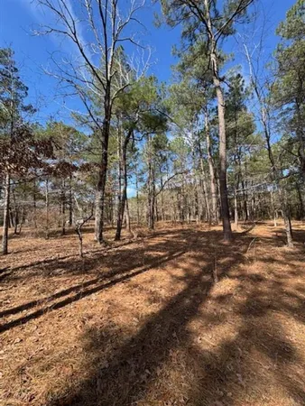 $27,700 | Lotus Lane, Anacoco, LA 71403