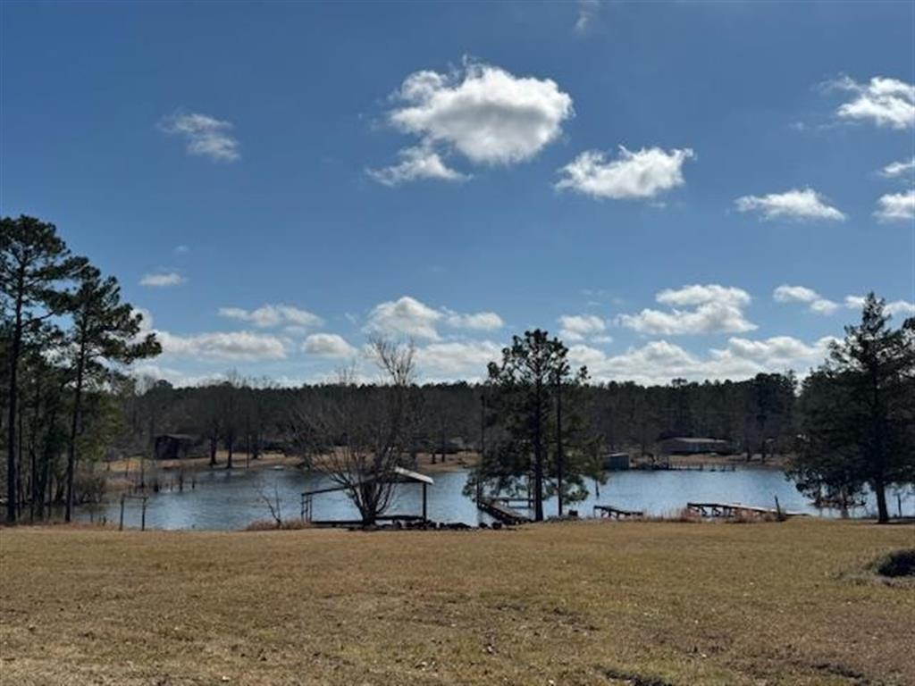 Lotus Lane Anacoco, LA 71403 - Photo 5 of 8