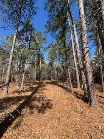 $27,700 | Lotus Lane, Anacoco, LA 71403