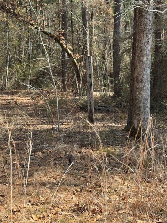 Lotus Lane Anacoco, LA 71403 - Photo 8 of 8