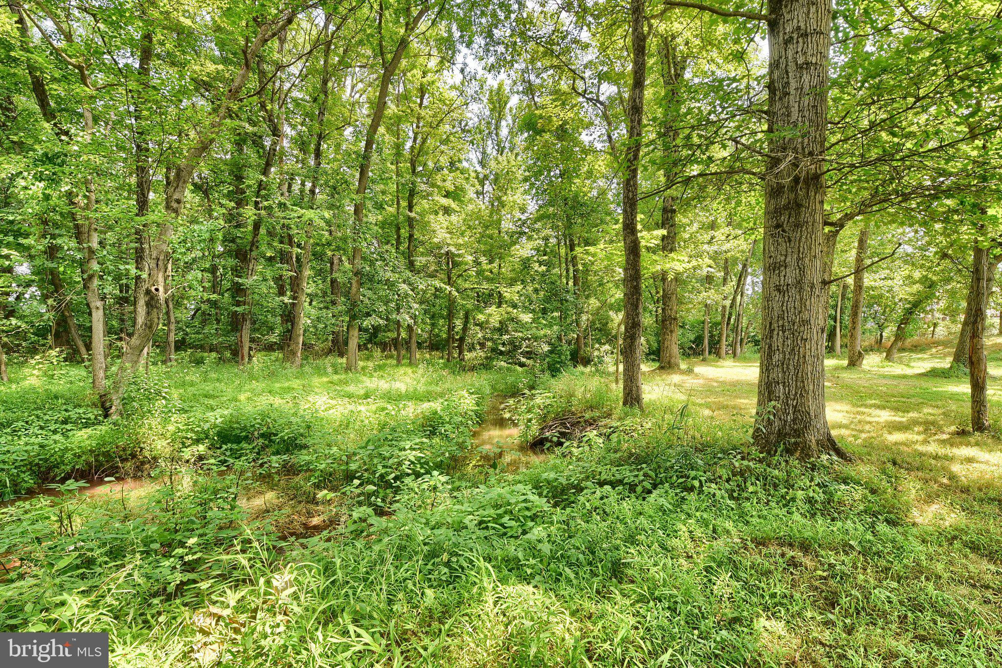 3740 Beagle Road Middletown, PA 17057 - Photo 44 of 70 a view of outdoor space with green field and trees