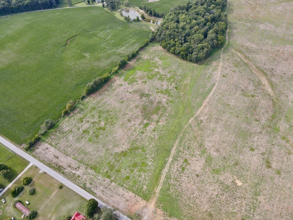 2 Shelbyville Road Morrison, TN 37357 - Photo 3 of 6 a view of a yard with trees
