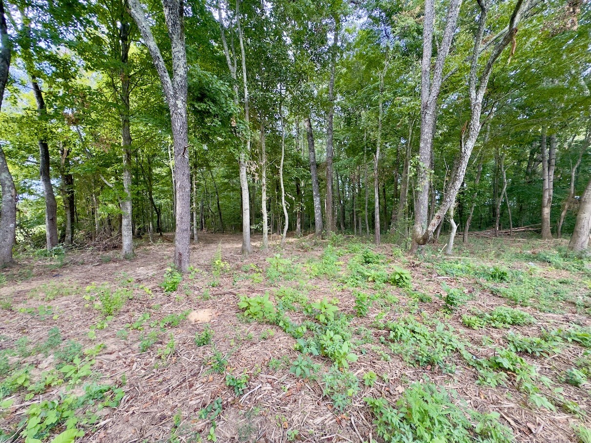 2 Shelbyville Road Morrison, TN 37357 - Photo 6 of 6 a view of outdoor space and garden