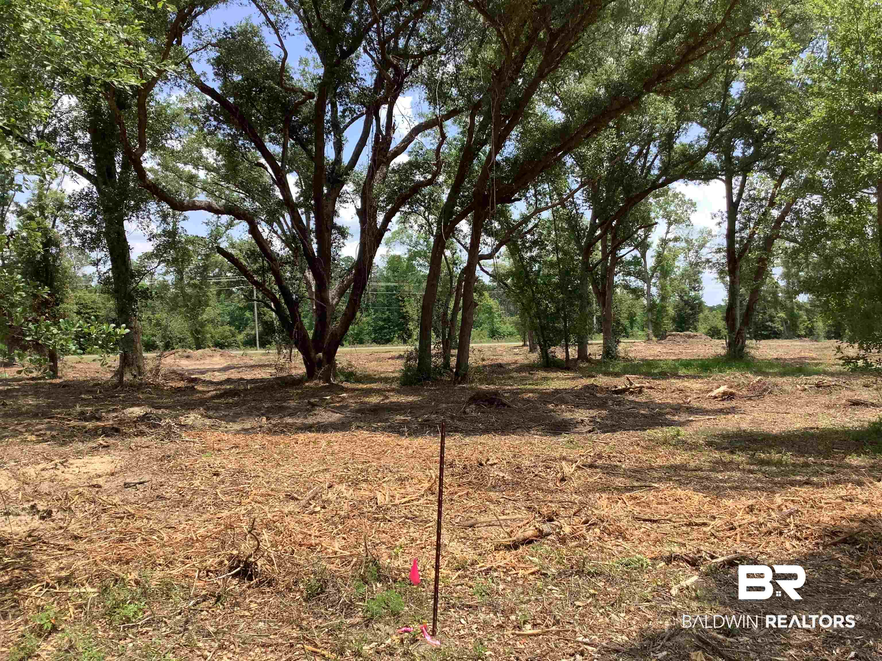27 Clarke Ridge Road Foley, AL 36535 - Photo 3 of 9