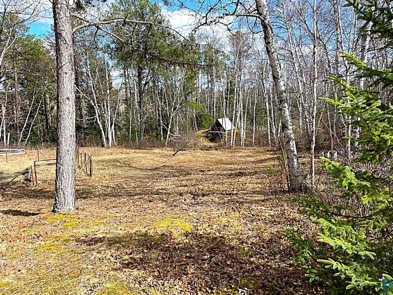 1480 Maijala Road Ely, MN 55731 - Photo 52 of 58 Expansive natural landscaped yard
