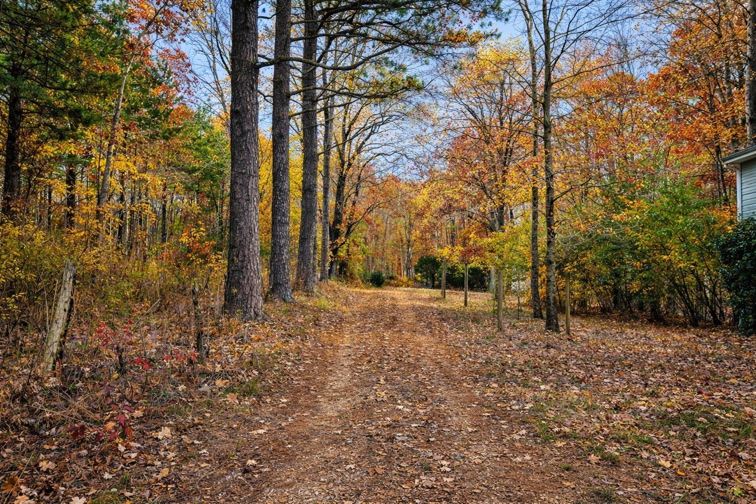 1135 West Mink Branch Road Waynesboro, TN 38485 - Photo 46 of 83