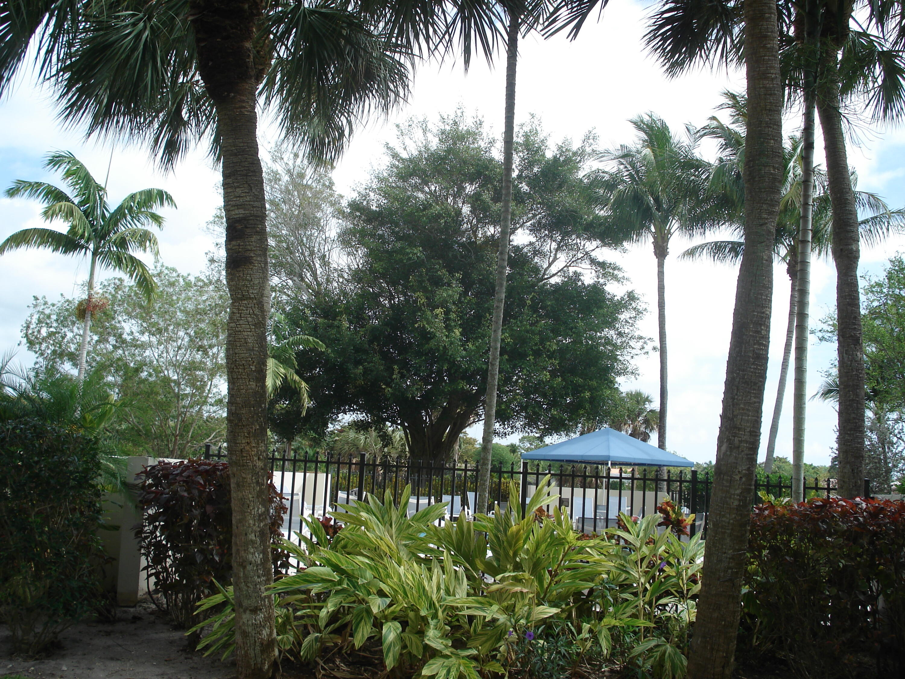 5750 Camino Del Sol, Unit 104 Boca Raton, FL 33433 - Photo 27 of 35 View