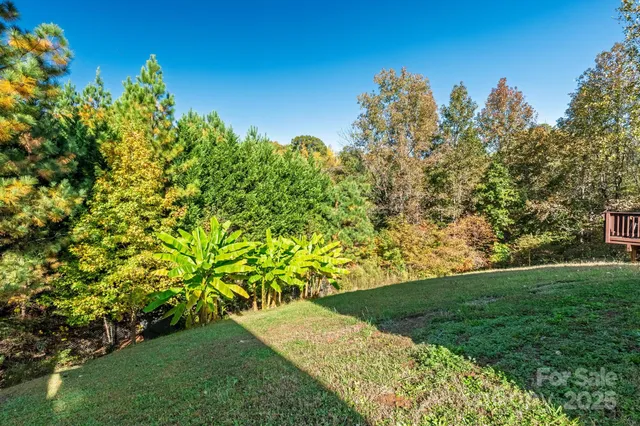 a view of a yard with a tree