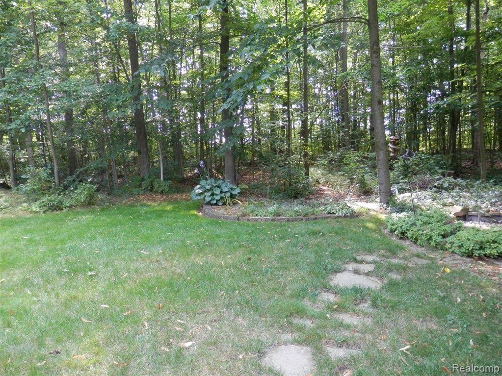 7830 Holly Road Avoca, MI 48006 - Photo 6 of 25 16 Wooded Acres