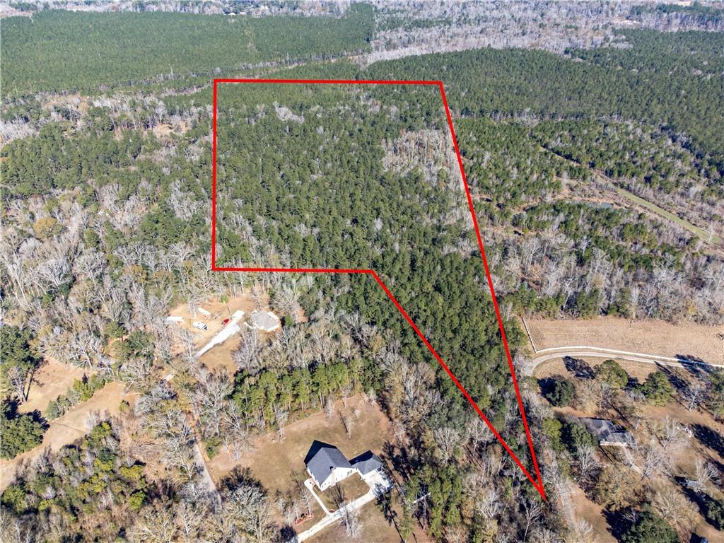 28.44-ac John McKigney Road Springfield, LA 70462 - Photo 1 of 25