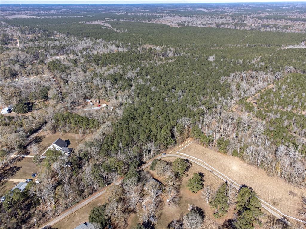 28.44-ac John McKigney Road Springfield, LA 70462 - Photo 11 of 25