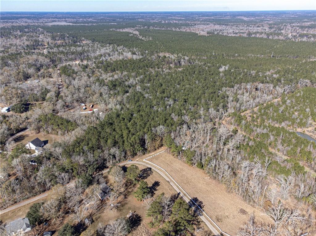 28.44-ac John McKigney Road Springfield, LA 70462 - Photo 12 of 25