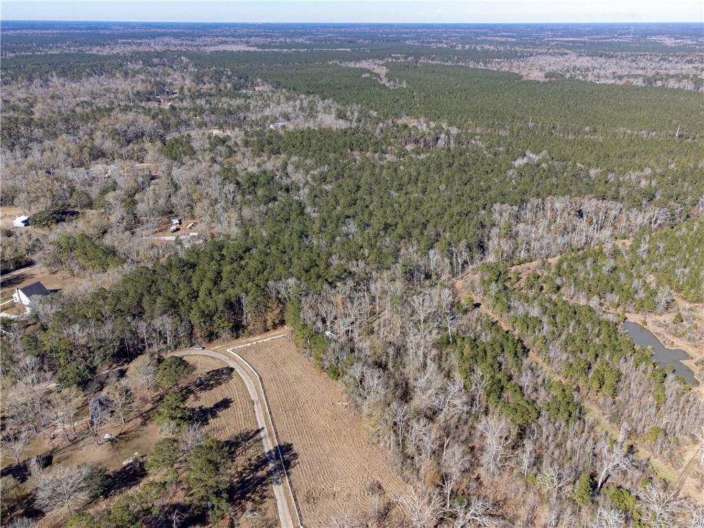 28.44-ac John McKigney Road Springfield, LA 70462 - Photo 13 of 25