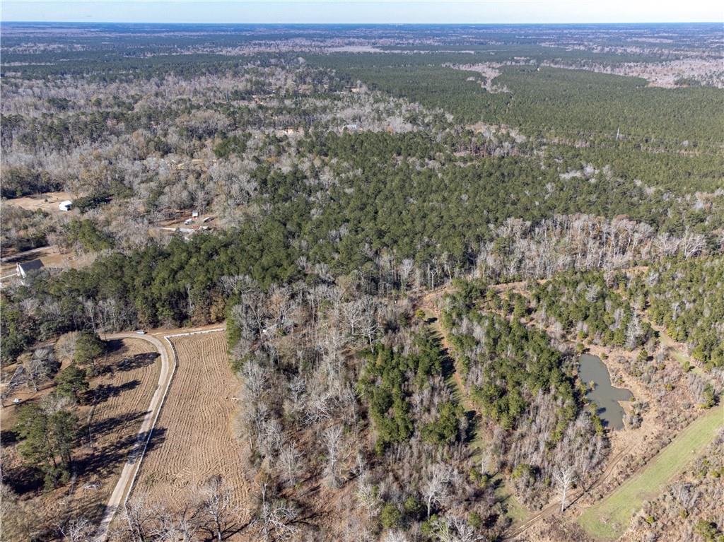 28.44-ac John McKigney Road Springfield, LA 70462 - Photo 14 of 25