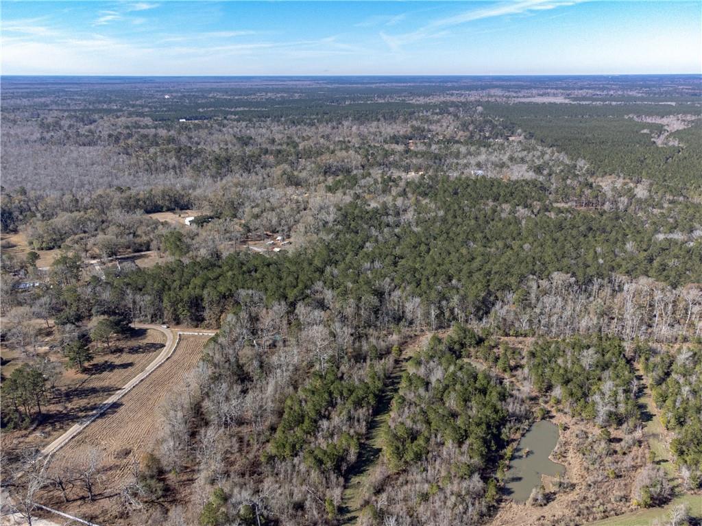 28.44-ac John McKigney Road Springfield, LA 70462 - Photo 15 of 25