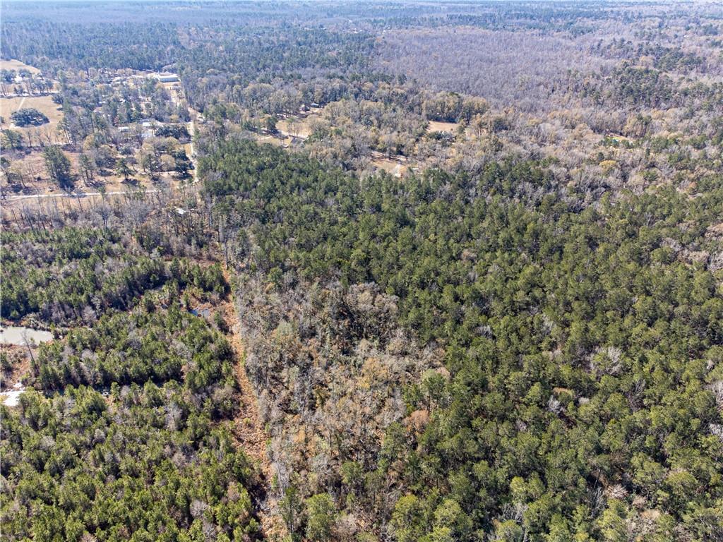 28.44-ac John McKigney Road Springfield, LA 70462 - Photo 16 of 25