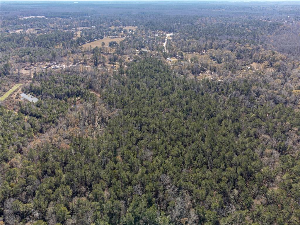 28.44-ac John McKigney Road Springfield, LA 70462 - Photo 17 of 25