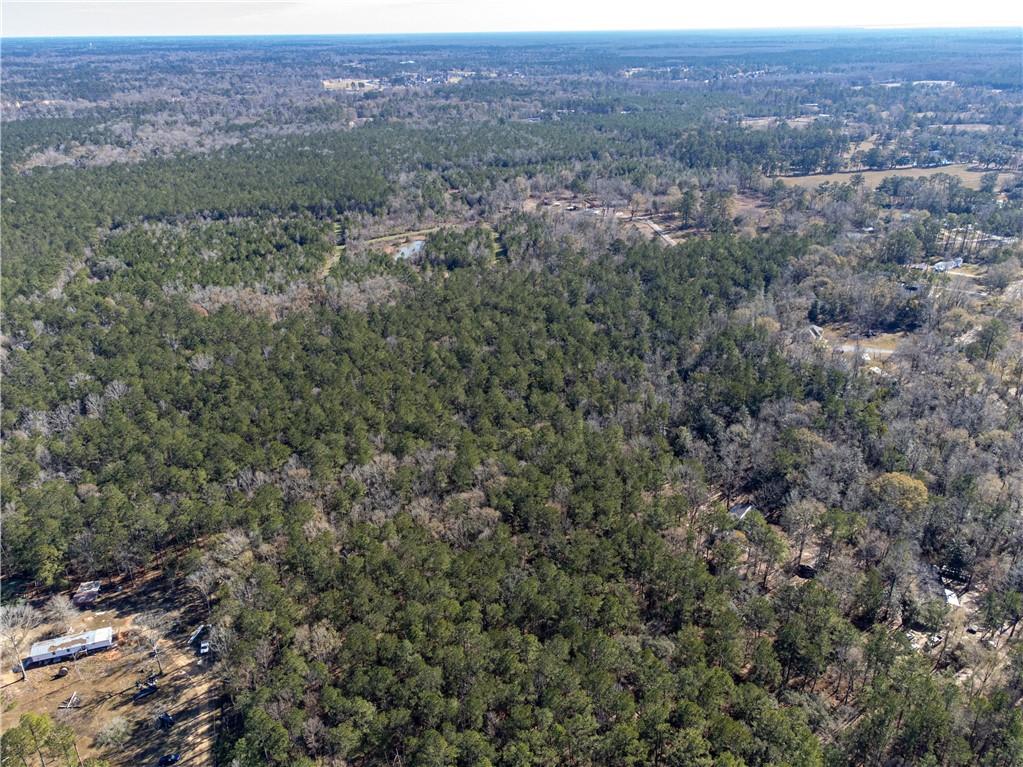 28.44-ac John McKigney Road Springfield, LA 70462 - Photo 18 of 25