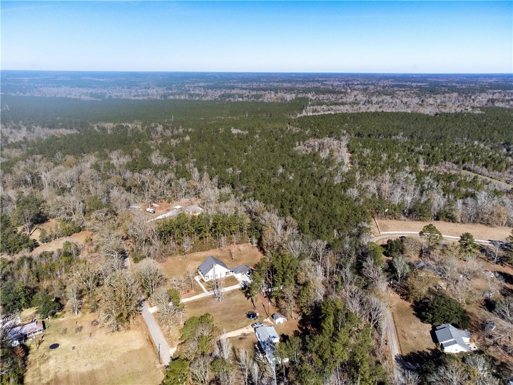 28.44-ac John McKigney Road Springfield, LA 70462 - Photo 2 of 25