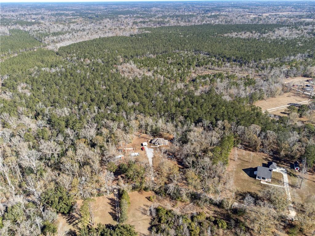 28.44-ac John McKigney Road Springfield, LA 70462 - Photo 21 of 25
