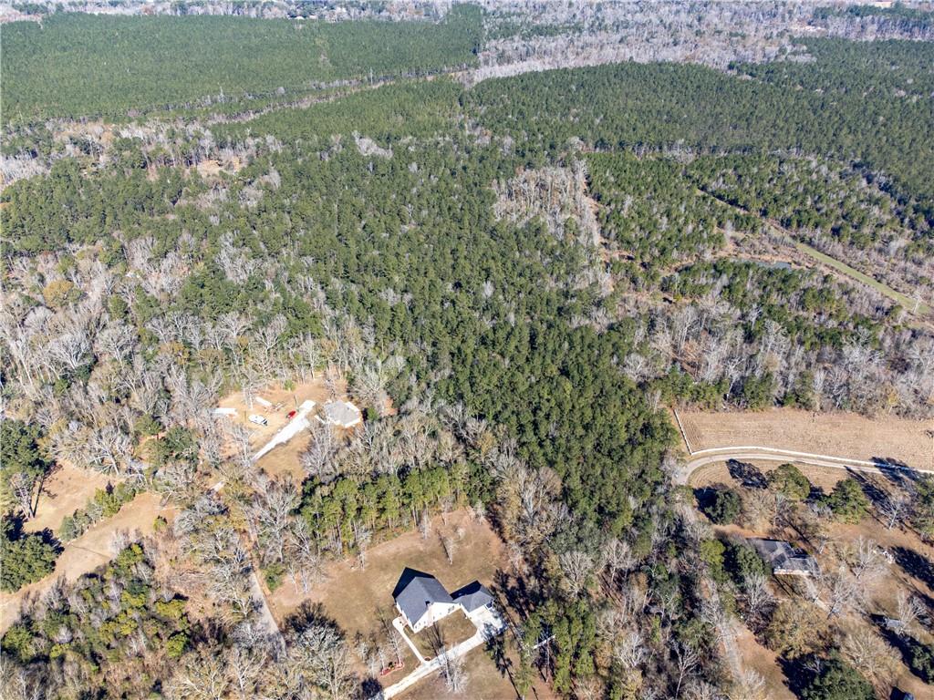 28.44-ac John McKigney Road Springfield, LA 70462 - Photo 23 of 25