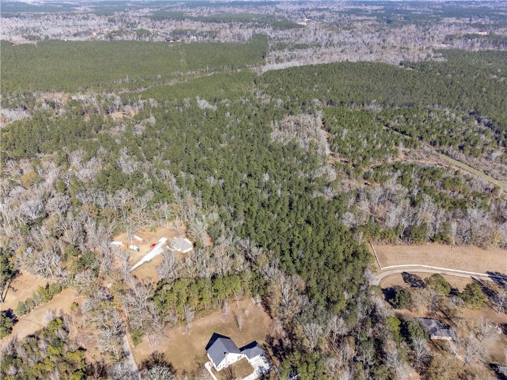 28.44-ac John McKigney Road Springfield, LA 70462 - Photo 24 of 25