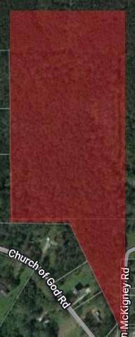 28.44-ac John McKigney Road Springfield, LA 70462 - Photo 25 of 25