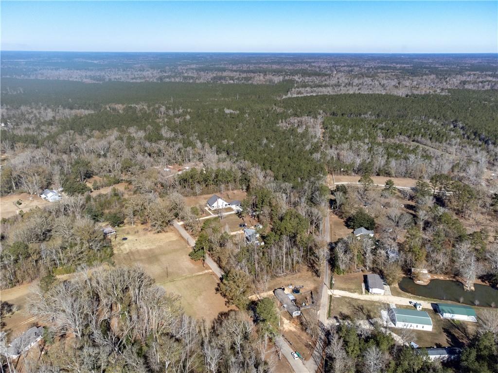 28.44-ac John McKigney Road Springfield, LA 70462 - Photo 3 of 25