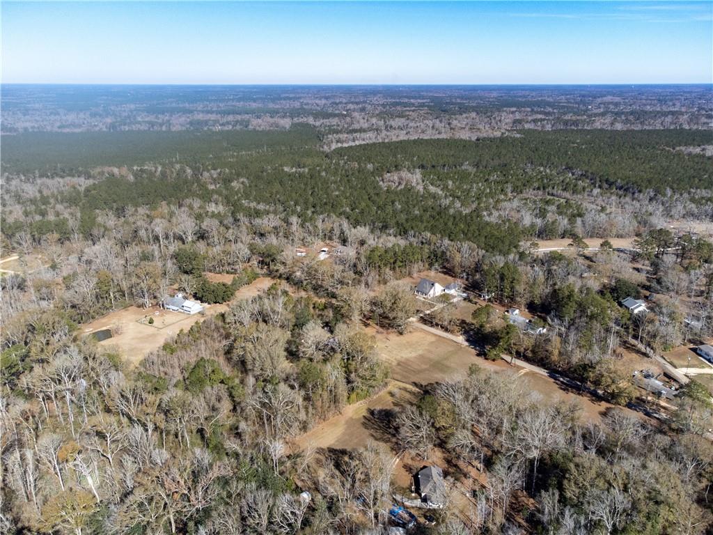 28.44-ac John McKigney Road Springfield, LA 70462 - Photo 5 of 25