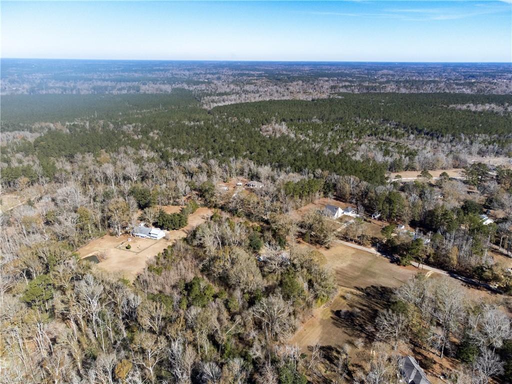 28.44-ac John McKigney Road Springfield, LA 70462 - Photo 6 of 25