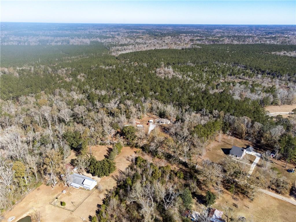 28.44-ac John McKigney Road Springfield, LA 70462 - Photo 7 of 25