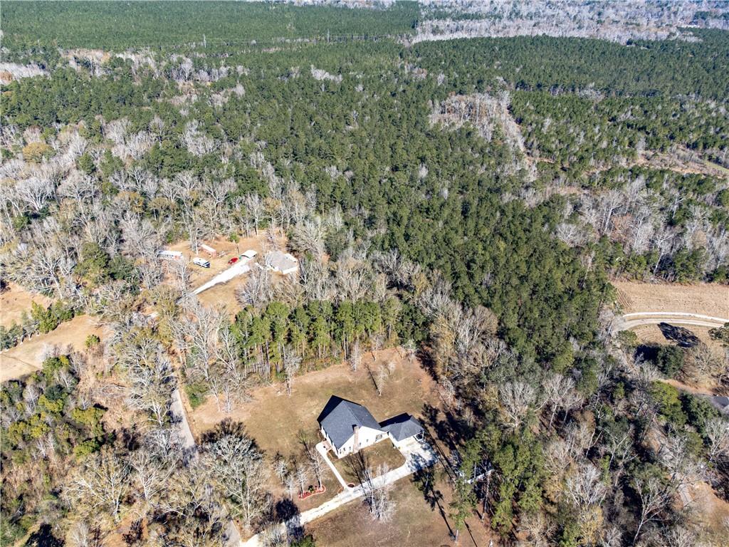 28.44-ac John McKigney Road Springfield, LA 70462 - Photo 8 of 25
