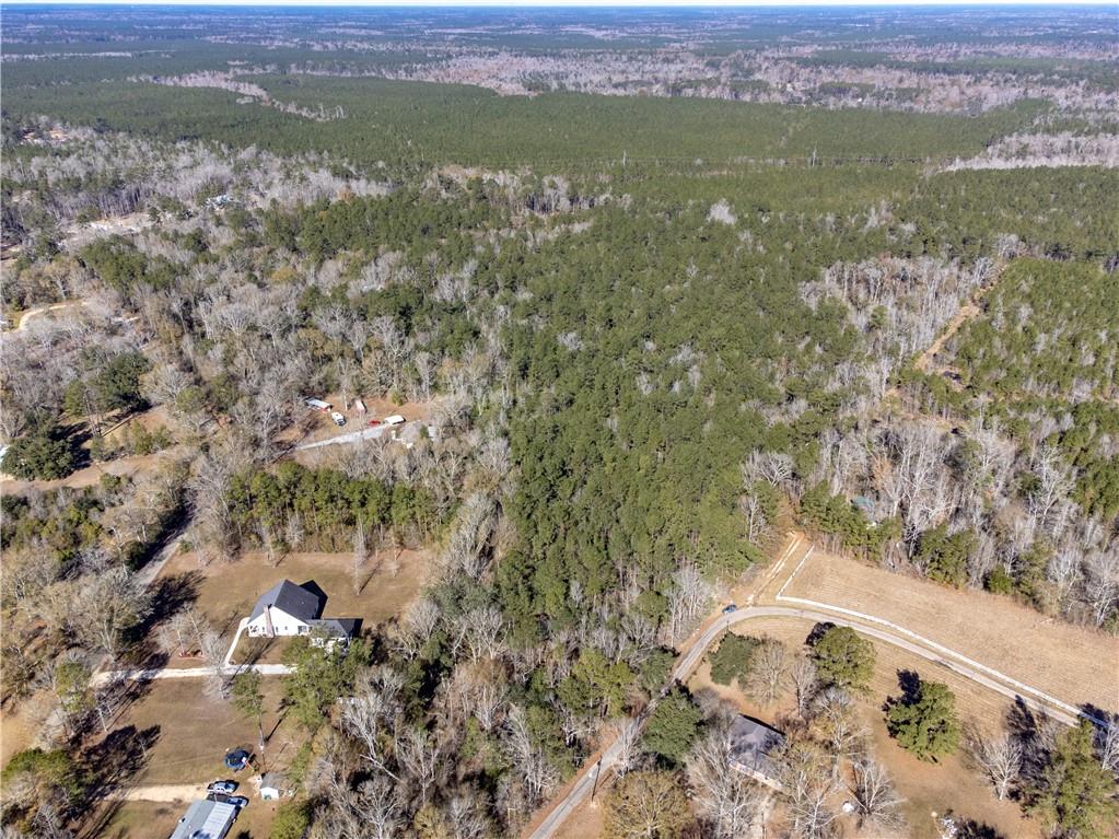 28.44-ac John McKigney Road Springfield, LA 70462 - Photo 10 of 25