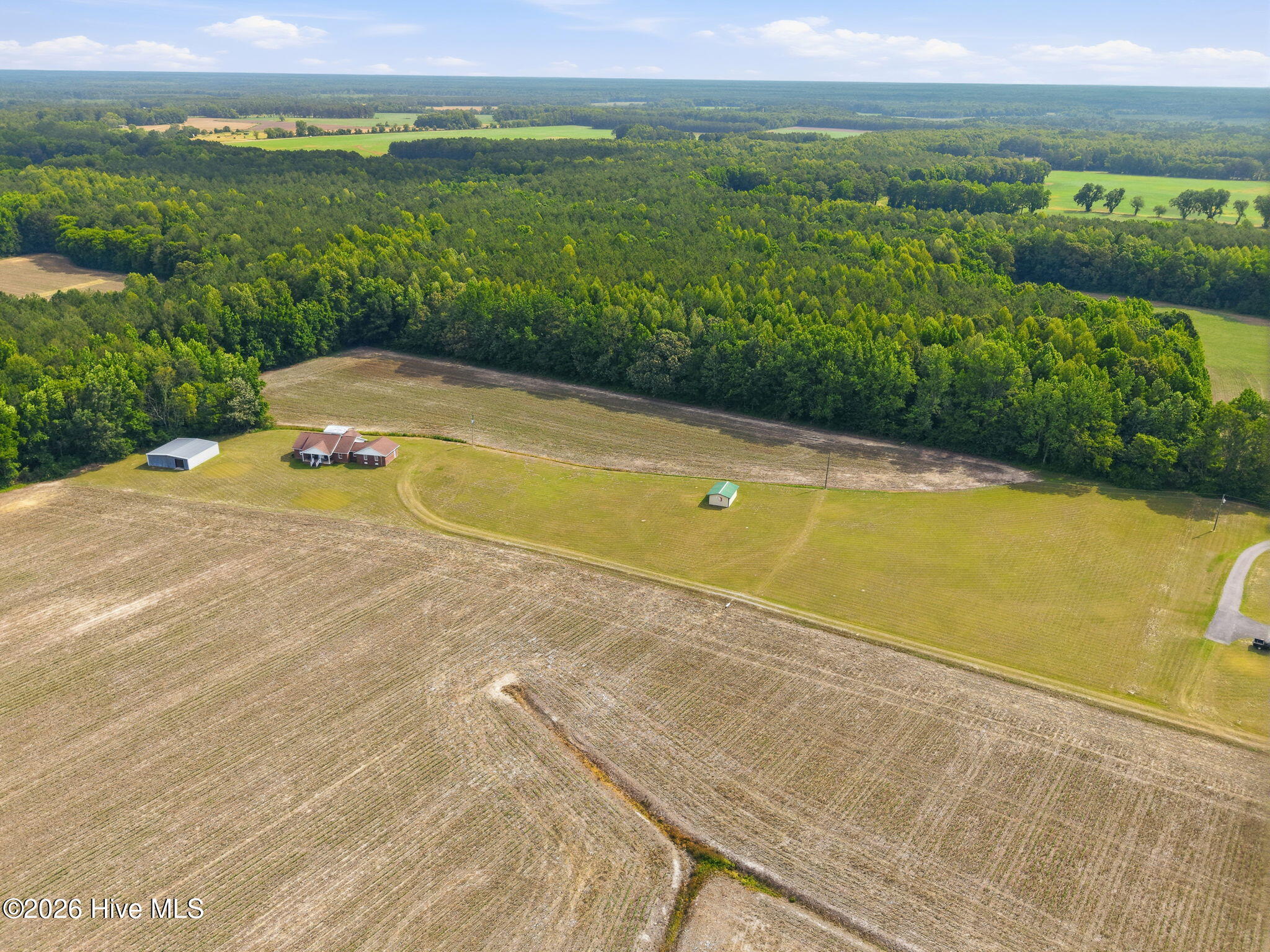 405 Pittman Town Road Scotland Neck, NC 27874 - Photo 13 of 59