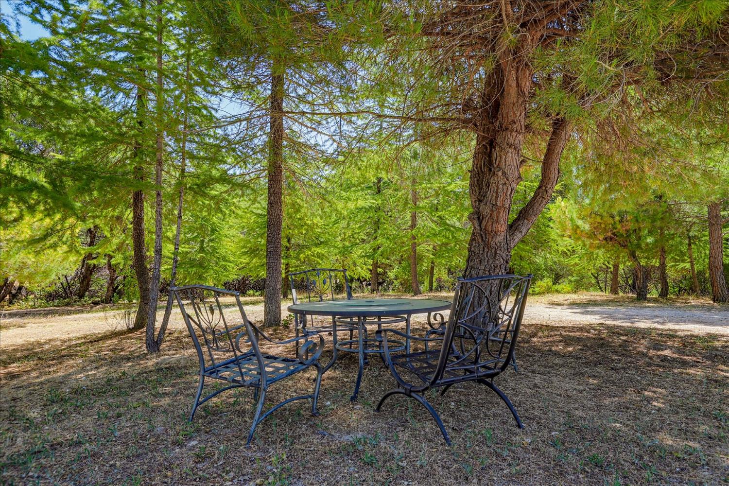 21748 Hyatt Road Nevada City, CA 95959 - Photo 81 of 83