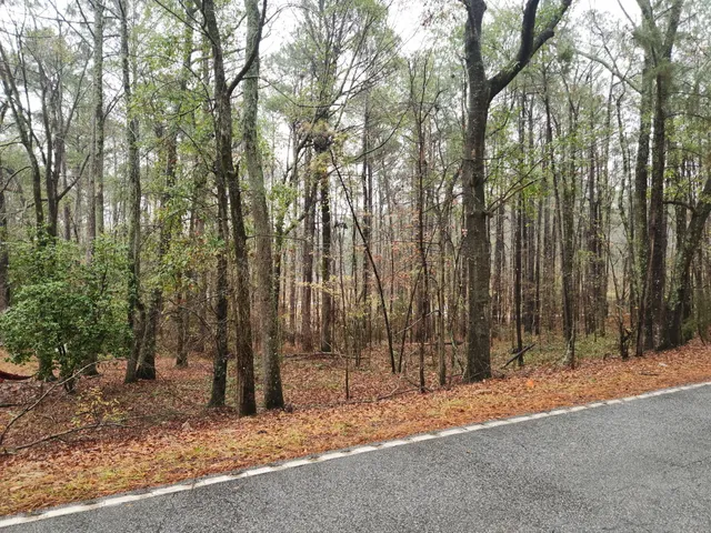 $55,000 | Tbd Springhaven Drive, North Augusta, SC 29860