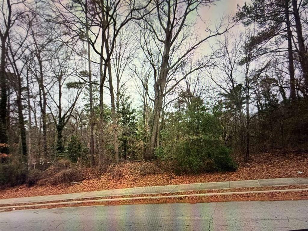 3342 Rainbow Drive Decatur, GA 30034 - Photo 4 of 4 a view of a yard with large trees
