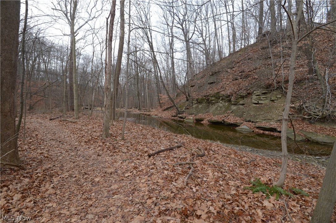 2749 Howland Wilson Road Northeast Warren, OH 44484 - Photo 6 of 25 beautiful nature setting full of wildlife & stream