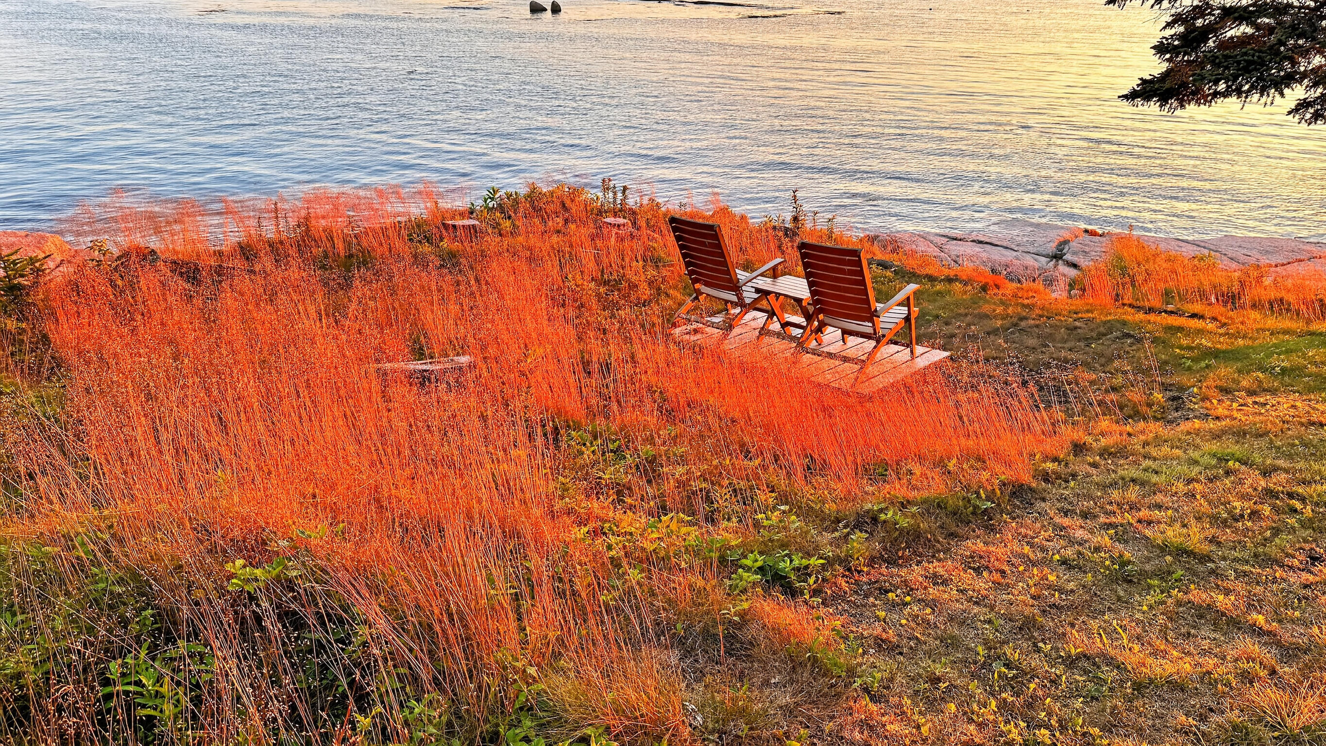 455 Black Duck Cove Road Beals, ME 04611 - Photo 54 of 63 033_EDEDD56F-C4E7-4F3A-8D4F-F873D3AE4646