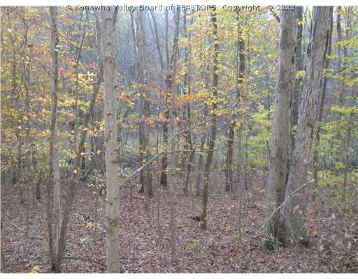 0 Stone Lick Road Gay, WV 25244 - Photo 6 of 8 Land.