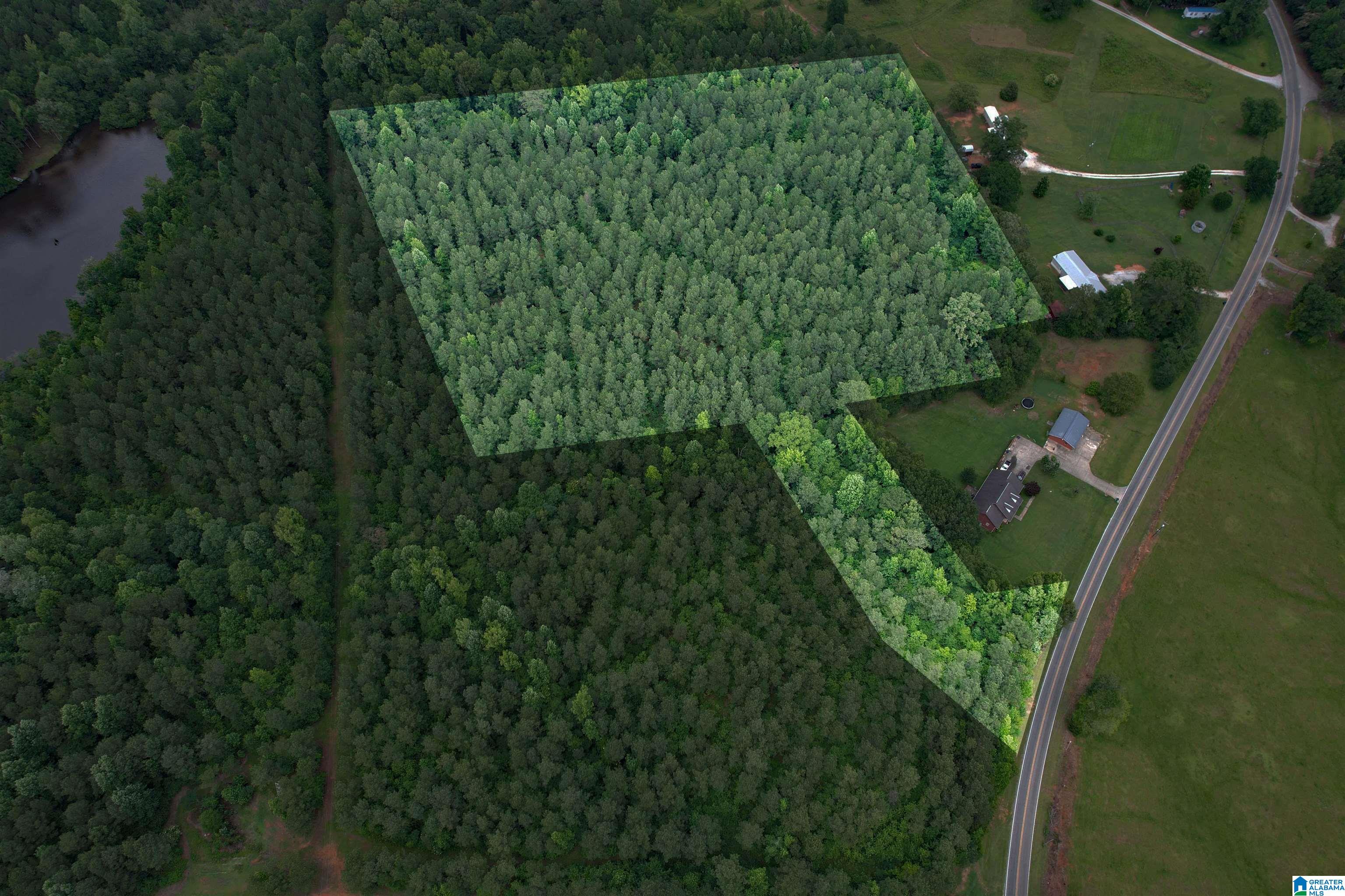 0 Houston Road Sylacauga, AL 35151 - Photo 32 of 32