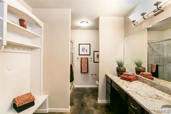 8 Chipper Road St. Louis, MO 63131 - Photo 23 of 36 Gallery Image 23
