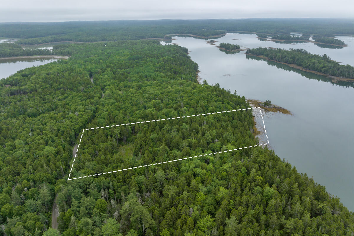 Lot 27 Coffins Neck Road Lubec, ME 04652 - Photo 3 of 27 17-Lot 27 Coffins Neck Road LoRes-DTP