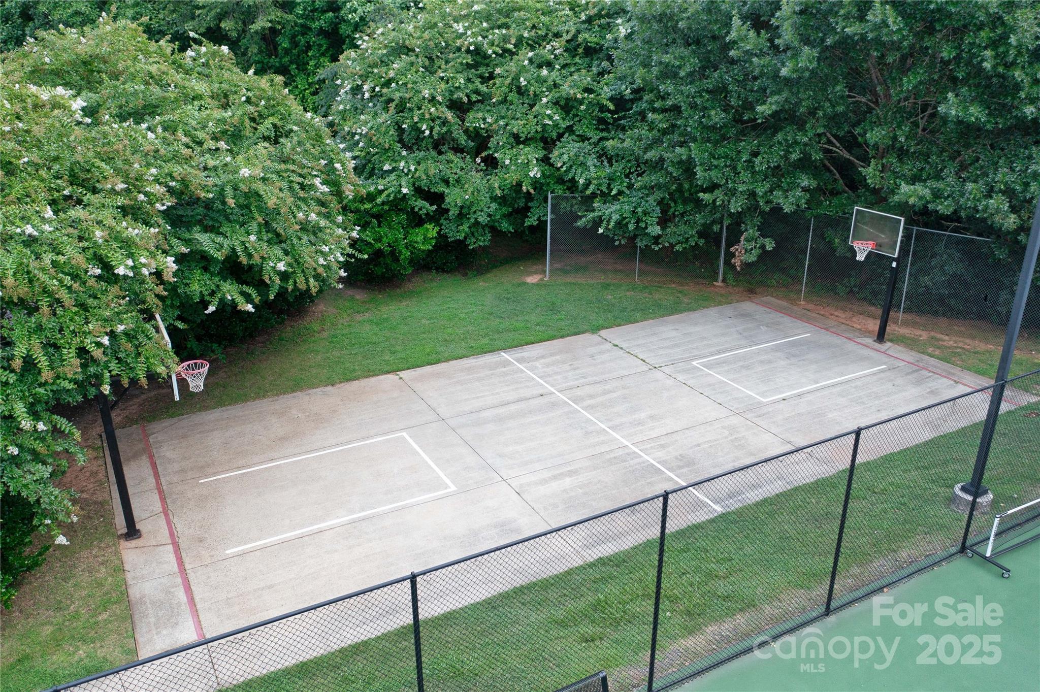 488 St George Road Fort Mill, SC 29708 - Photo 40 of 40 a view of a backyard