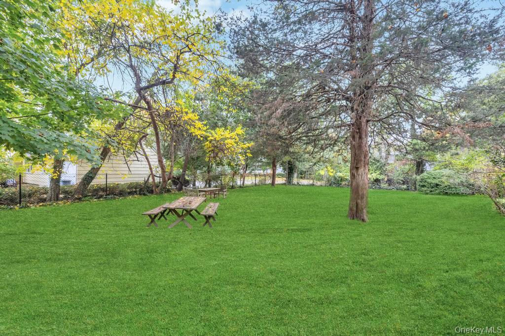 89 Van Brunt Manor Road Setauket, NY 11733 - Photo 13 of 41 a view of garden with trees