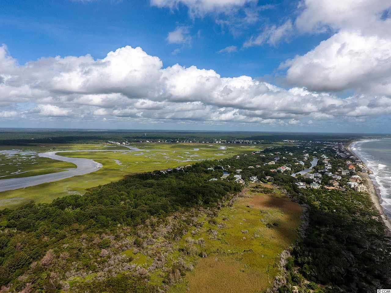 Lot 38 Ocean Park Loop Georgetown, SC 29440 - Photo 11 of 30 Gallery Image 11