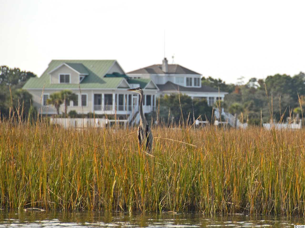 Lot 38 Ocean Park Loop Georgetown, SC 29440 - Photo 28 of 30 Gallery Image 28