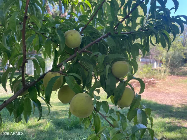 $525,000 | 547 North Montezuma Castle Highway, Camp Verde, AZ 86322