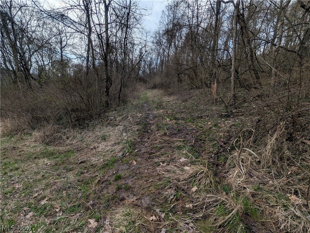 39000 Lees Run Road Cadiz, OH 43907 - Photo 46 of 49